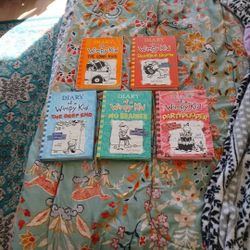 5 Diary Of A Wimpy Kid Books