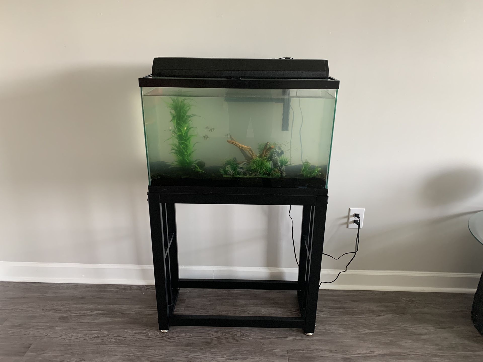 30 Gal Fish Tank w/Stand & Fish $100/OBO