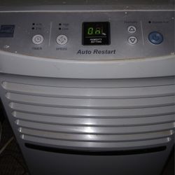 Dehumidifier 