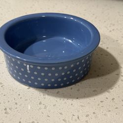 Blue & White Cat Dish