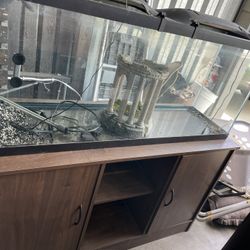 Acrylic Fish Tank 