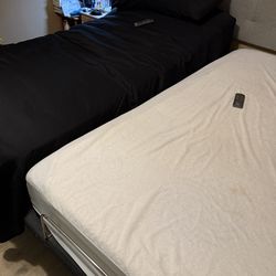 2 Twin X/l  With Adjustable Base.