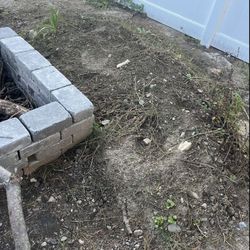Free Dirt