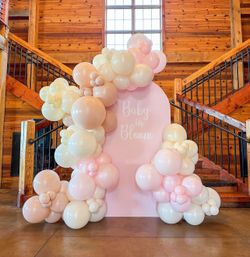 Pink Backdrop Baby In Bloom Decor✨