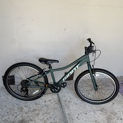 Giant XTC 24 inch Mountain Bike (Boys or Girls)-Ready To Ride