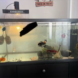 55 Gallon tank w/ Accessories 