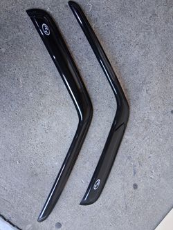 Door visor
