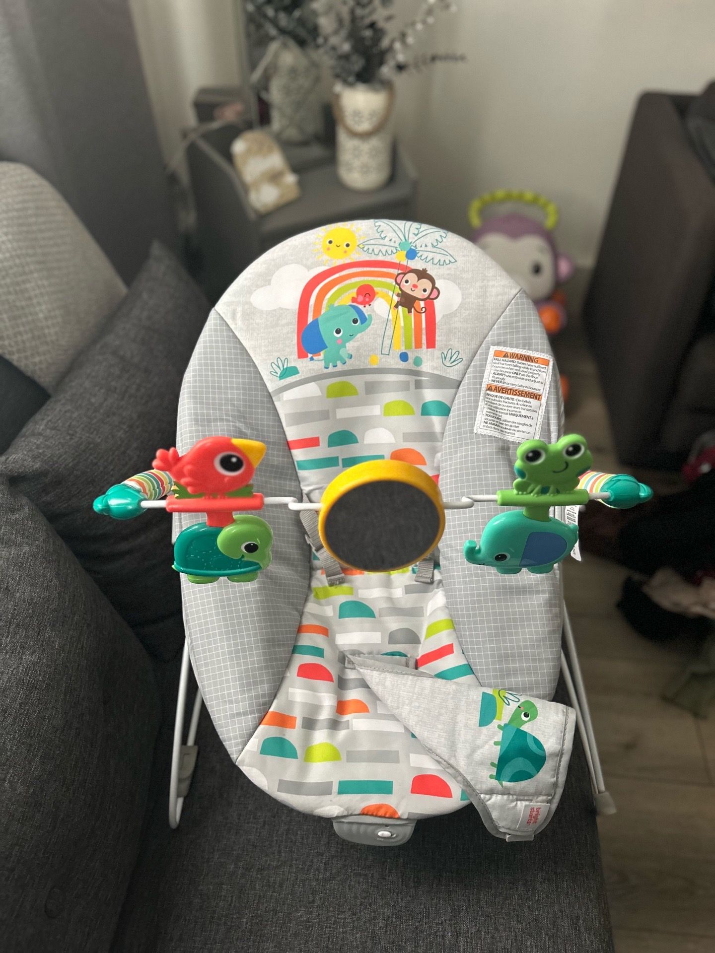 Baby Bouncer