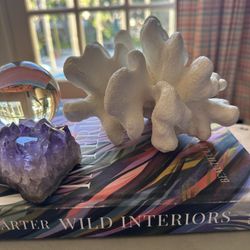 Pottery Barn Synthetic White Coral Decor