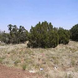 LAND /LAKE Property ,1/3  of an ACER ,(by  Owner) Water And Power To Lot.  Paved Road