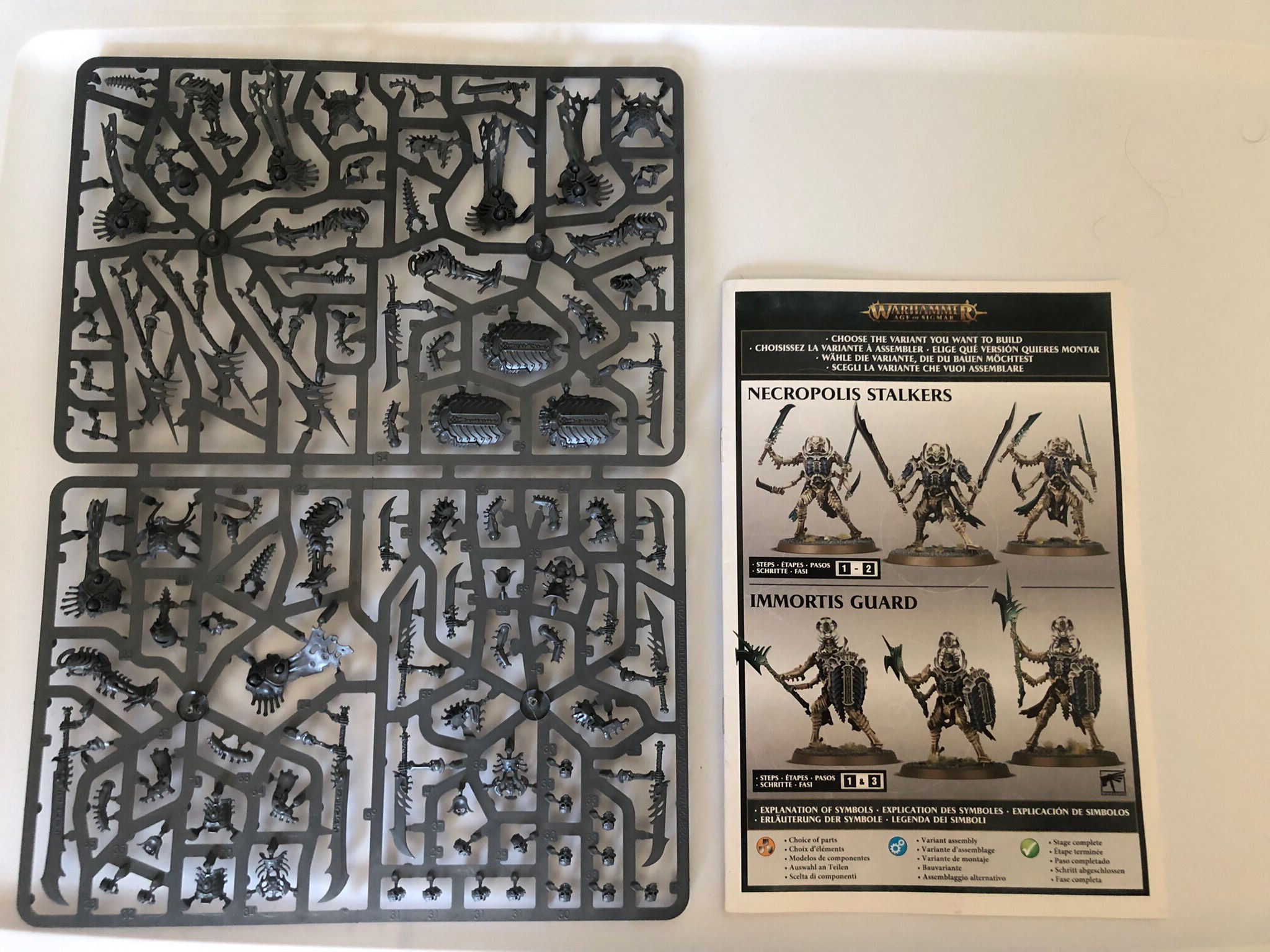 Necropolis Stalkers/Immortis Guard - Age Of Sigmar