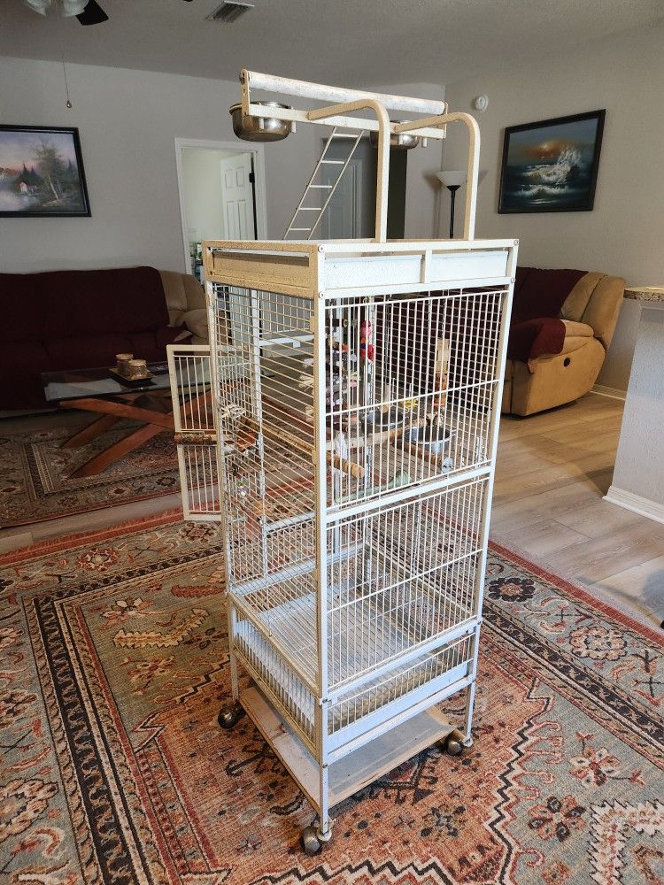 Bird Cage On The Wheel