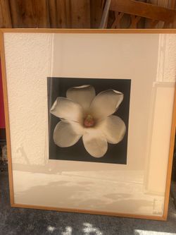 Large Framed Magnolia Flower Wall Art – Neutral Modern Decor