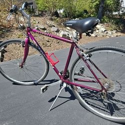 Schwinn Express