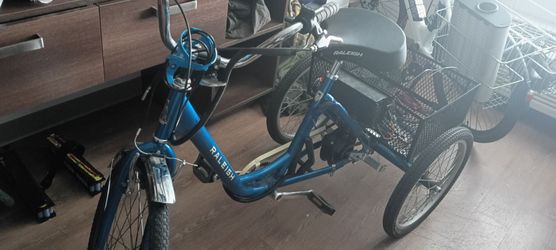 Raleigh Trike- Converted