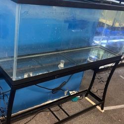 55 Gallon Fish Tank 