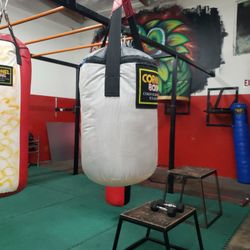 Punching Bag 