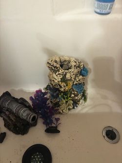 Assortment of fish supplies