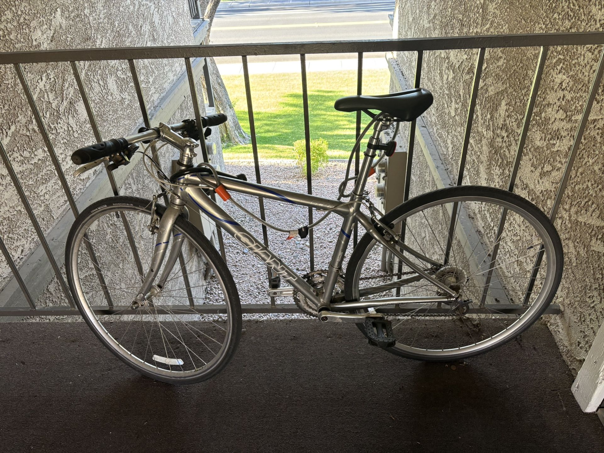 Giant Road Bike