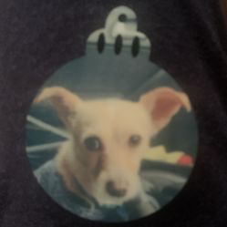 Personalized Ornaments 