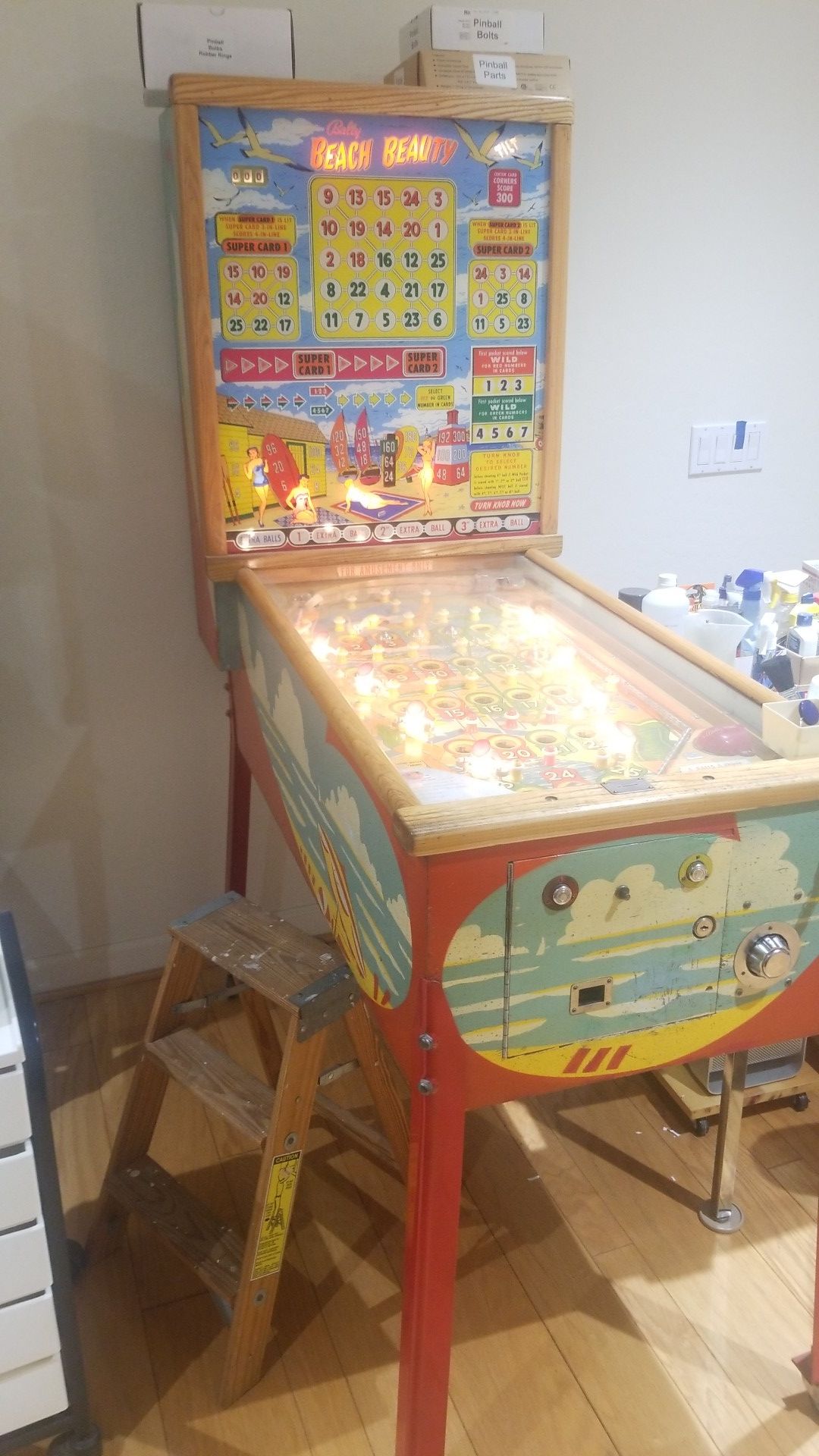Bally Beach Beauty Pinball Machine
