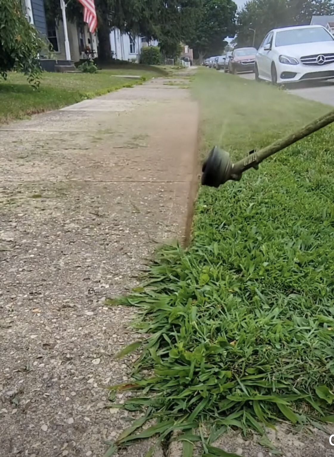 Carlos lawn care