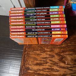 Gooesbumps collection of books $4 for each book $35 for all