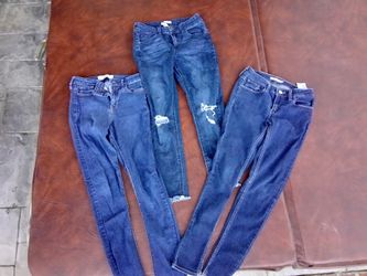 Hollister levis refuge jeans