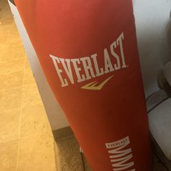 Everlast Bag 