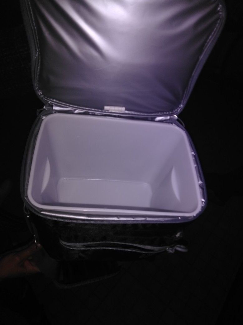 Small portable cooler