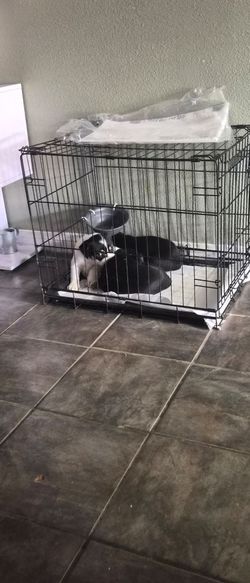 Dog kennels for sale