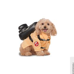 Rubie's Pet Shop Halloween Ghostbusters Dog & Cat Costume