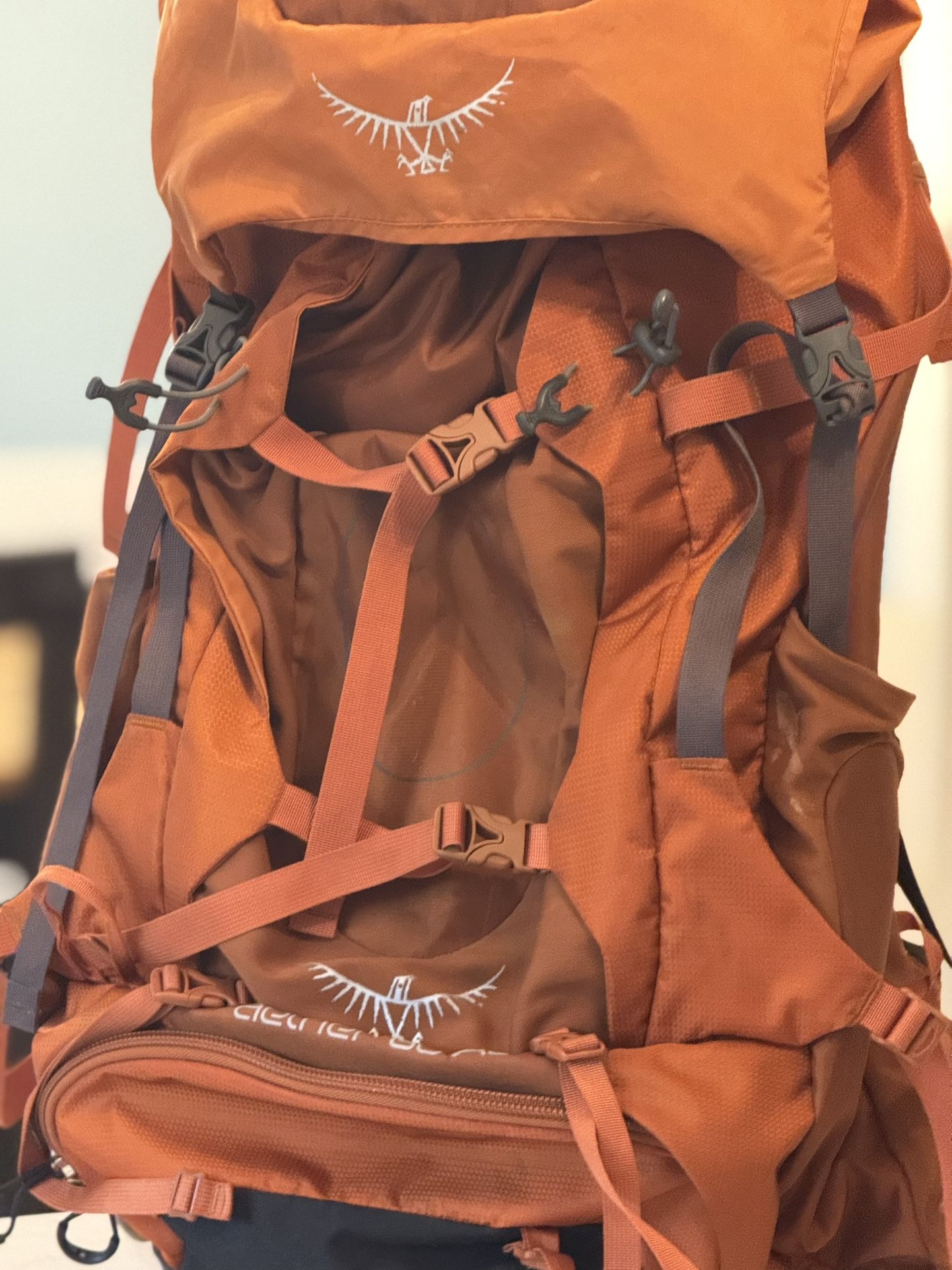 Osprey Aether 60 AG Men’s Hiking Backpack with Included Brain/Day Pack