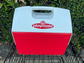Ice Chest Igloo , Playmate