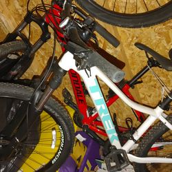 brand new trek mountain bike