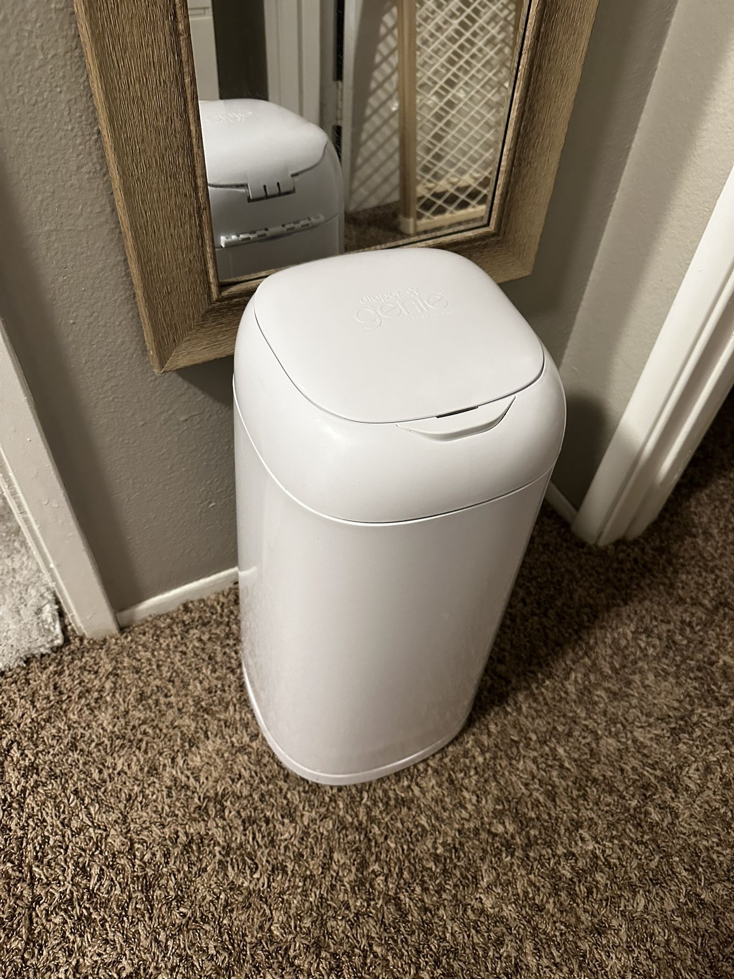 Diaper Genie Classic Pail - Pail Only