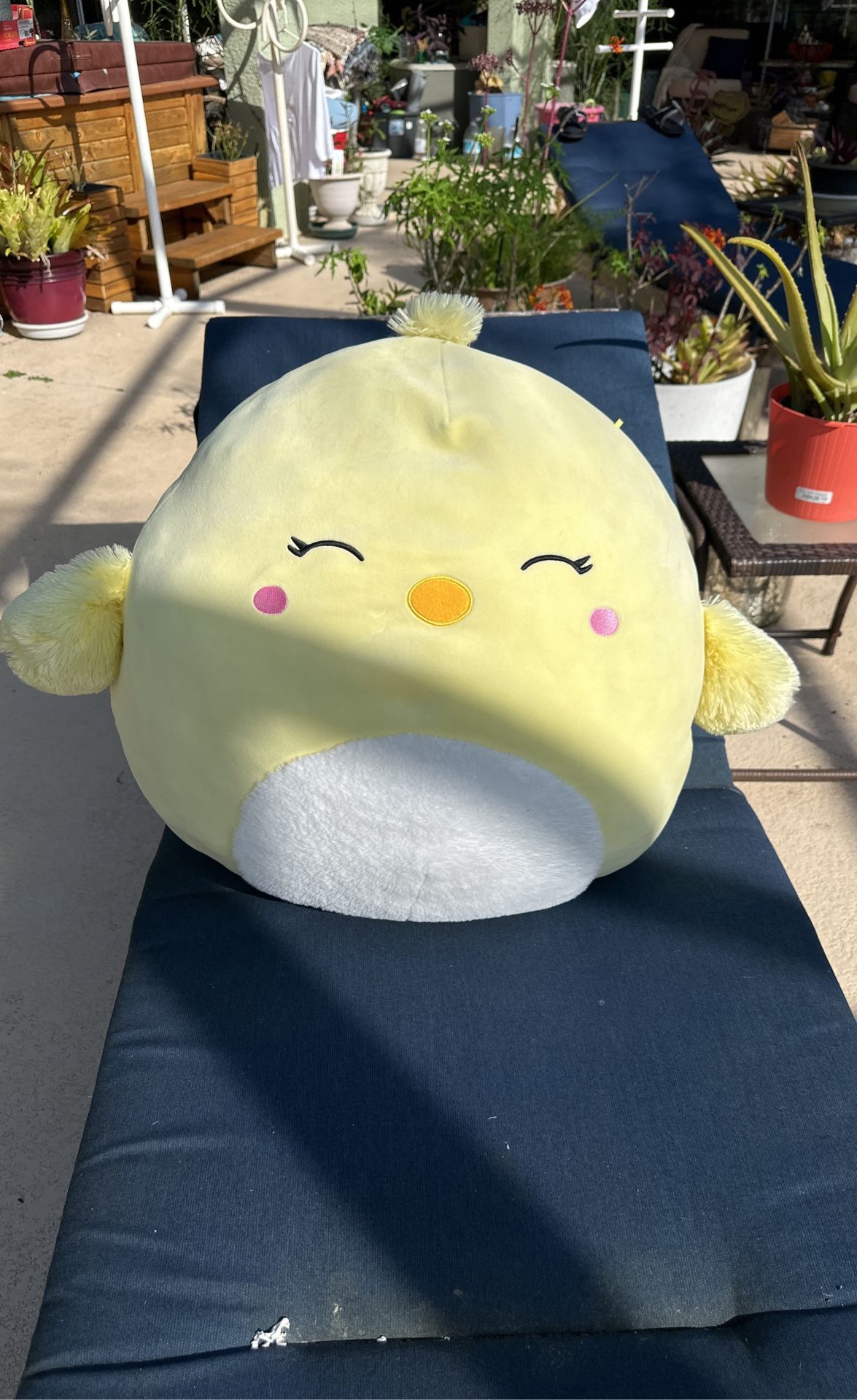 Squishmallow Jumbo Ivanna Chick 20” - Easter / Spring