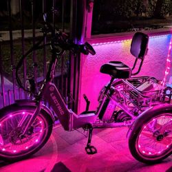 LECTRIC XP TRIKE