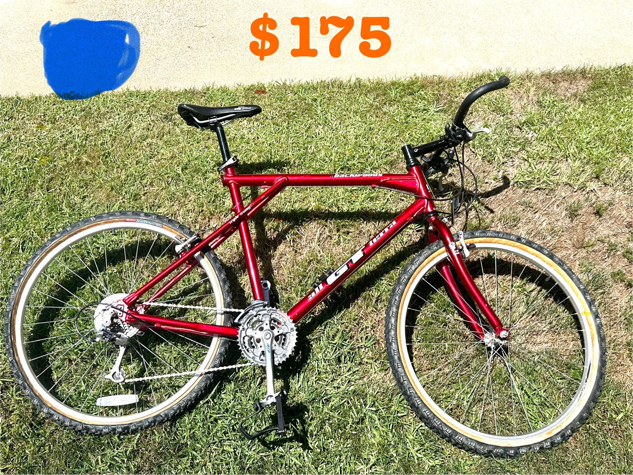 GT Backwoods Mountain Bike Bicycle