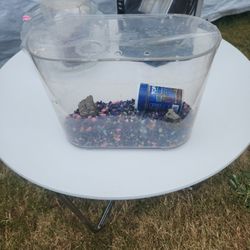 Small Fish Tank