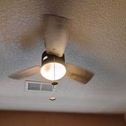 Fan And Light (Small)
