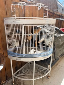 Corner bird cage