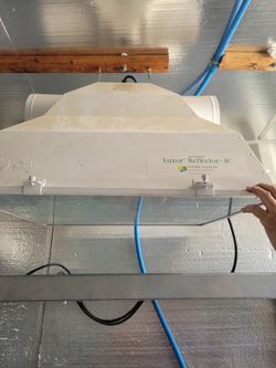 Luxor 8" Vented Hood