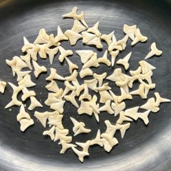 Sharks Teeth