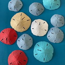 Large Colorful Sand Dollars 10 For $20 Firm 