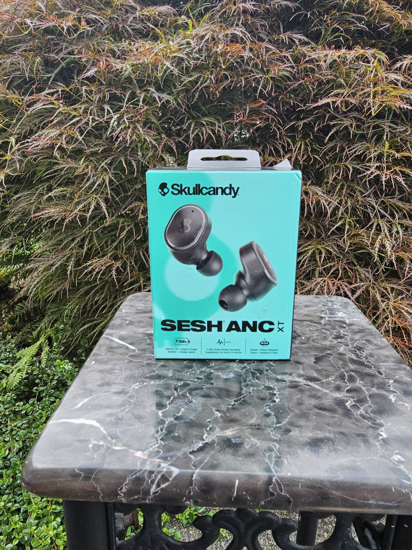Skull candy Ear Pods