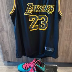 LeBron Nike South Beach 2010