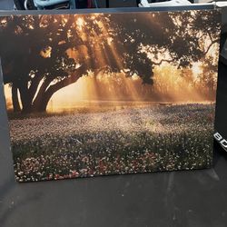 Canvas Painting 30x37in