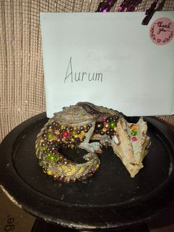 Aurum