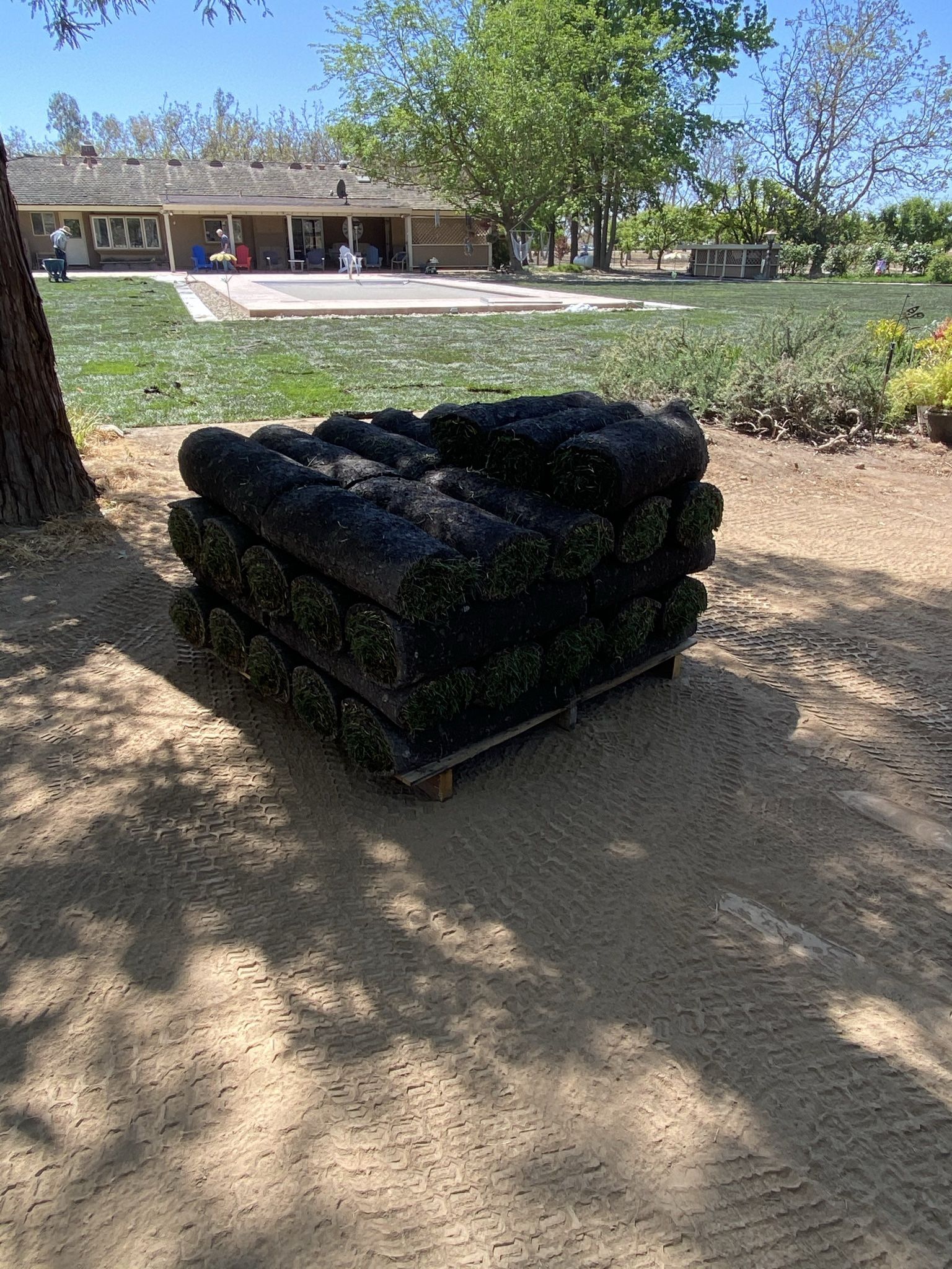 400 Sf Fescue Sod